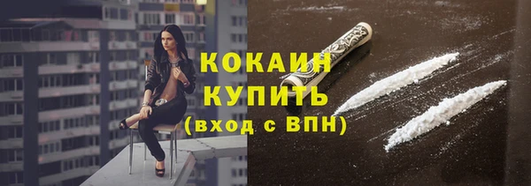 крисы Новодвинск