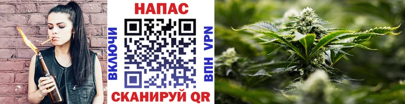 купить наркоту  Новоульяновск  OMG ТОР  Бошки Шишки THC 21% 